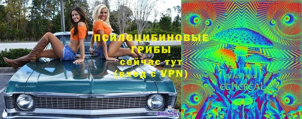 мдпв Арсеньев