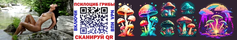 где можно купить наркотик  Новоржев  Псилоцибиновые грибы Cubensis 